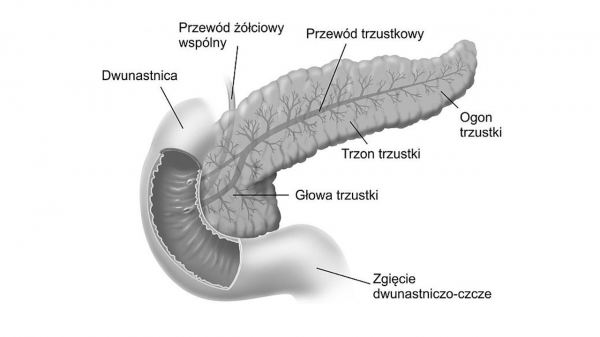 Badaj się. Medycyna wobec raka trzustki jest bezradna